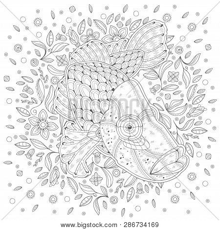 Hand-drawn Decorated Cartoon Altolamprologus Compressiceps Fish On The White Background With Algae. 