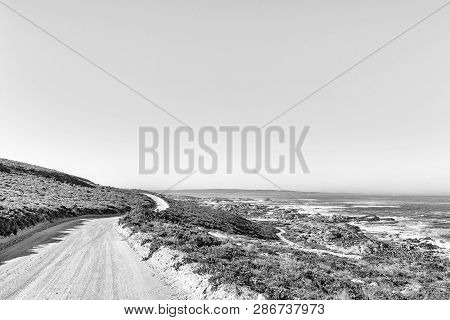 The Road To Tietiesbaai At Cape Columbine Near Paternoster In The Western Cape Province. Monochrome