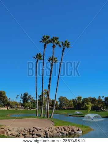 Water fountains and Palm Trees in Maricopa County, Glendale, Arizona.