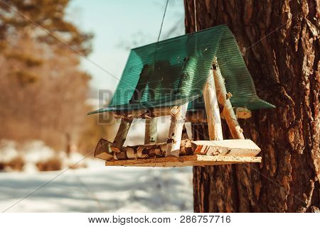 Great Tit Parus Major On Feeder At Winter