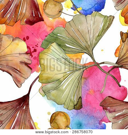 Green Red Ginkgo Biloba Leaves. Watercolor Background Illustration Set. Seamless Background Pattern.