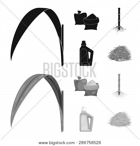 Vector Design Of Farm And Agriculture  Symbol. Set Of Farm And Technology Stock Vector Illustration.