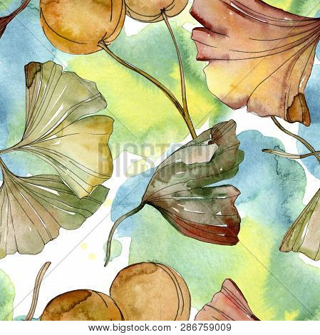 Green Red Ginkgo Biloba Leaves. Watercolor Background Illustration Set. Seamless Background Pattern.