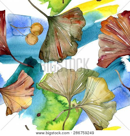 Green Red Ginkgo Biloba Leaves. Watercolor Background Illustration Set. Seamless Background Pattern.