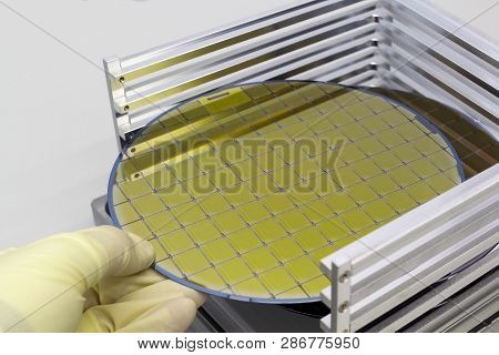 Silicon Wafers In Steel Holder Box Take Out By Hand In Gloves- A Wafer Is A Thin Slice Of Semiconduc