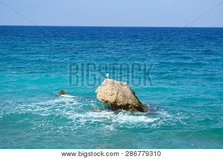 Seascape With A Seagull Standing On The Coastal Stone, The Aegaen, Greece