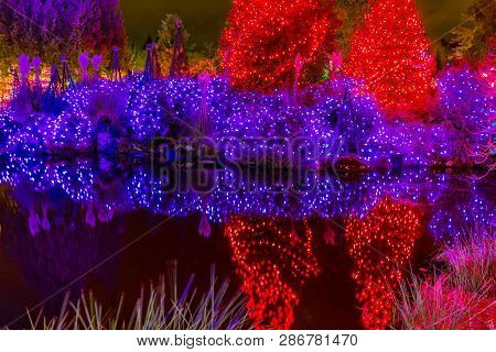 Vancouver, Canada - December 15, 2018  Blue Red Christmas Trees Lights Reflection Lake Van Dusen Gar