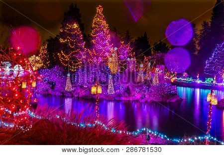 Vancouver, Canada - December 15, 2018  Pink Purple Blue Christmas Trees Lights Reflection Lake Van D