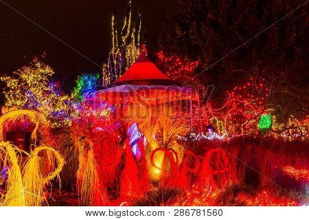 Vancouver, Canada - December 15, 2018  Red Yellow Christmas Lights Grasses Abstract Van Dusen Garden