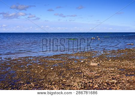 The Picturesque Coast Of The Finskiy Gulf In Saint-petersburg, Russia
