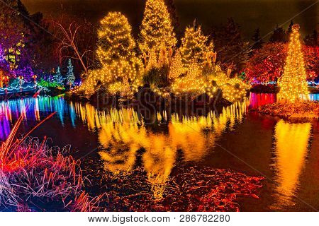 Yellow Red Christmas Trees Lights Reflection Lake Van Dusen Garden Vancouver British Columbia Canada