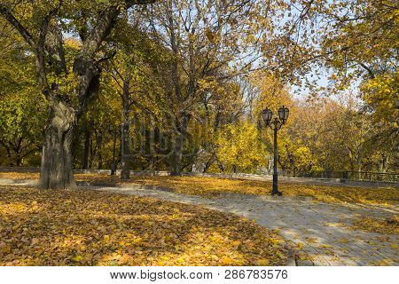 Golden Autumn In The City Park. Fallen Leaves On The Walkways. Park Dytynets. City Chernihiv. Ukrain