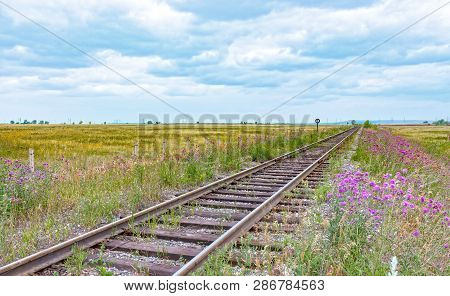 Railway To The Horizon. Vintage Railway Tracks Among The Summer Blooming Field. Purple Thistles Bloo