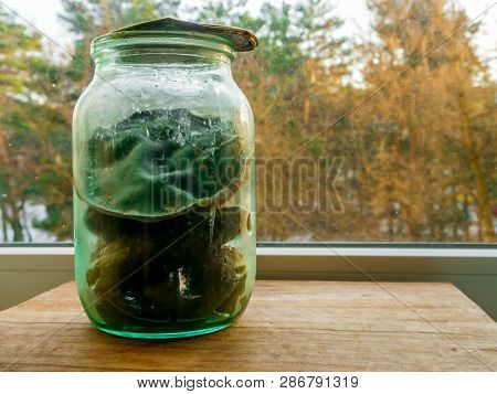 Can Of Pickled Cucumbers On Window On A Background Of Autumn Or Winter Forest.  Huge Texture Of Mold