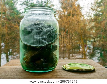 Can Of Pickled Cucumbers On Window On A Background Of Autumn Or Winter Forest.  Huge Texture Of Mold
