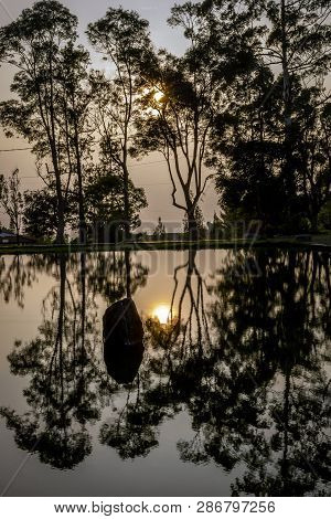 A Beatiful Reflection Of Pond At Foot Of Gede Pangrango Mountain At The Morning
