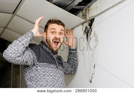 Bearded Man In Shock From The Black Mold On The Wall And Ceiling. - Image
