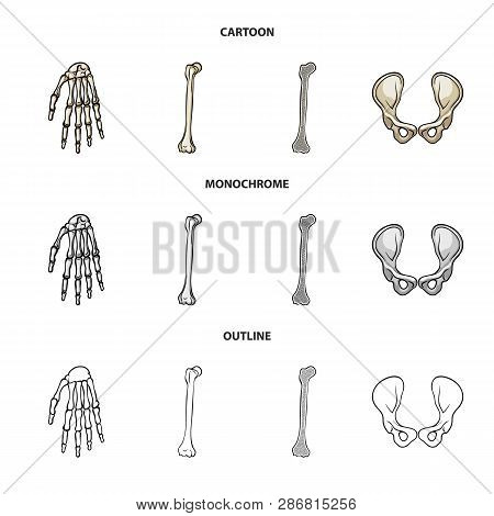 Vector Design Of Medicine And Clinic Logo. Set Of Medicine And Medical Stock Vector Illustration.
