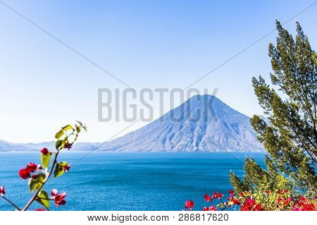 San Pedro Volcano On Lake Atitlan With Pink Bougainvillea Flowers In Foreground, Guatemala, Central 