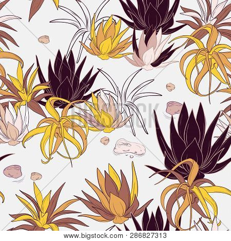 Modern Cactus Decoration. Hand Drawn Line Art With Succelents. Desert Wallpaper, Summer Tropical Fab