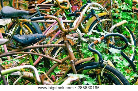 A Row Of Scrap Bycles At A Junk Yard