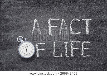 A Fact Of Life Phrase Handwritten On Chalkboard With Vintage Precise Stopwatch Used Instead Of O