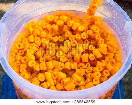 Candied Orange Peel. Candied Fruits On The Counter Of The Turkish Market. Rolled Orange Peel. Turkis