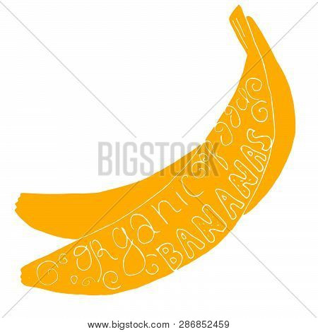 Yellow Hand Drawn Vector Bananas With Text Inside Of It. Colorful Cartoon Bananas Isolated On A Tran