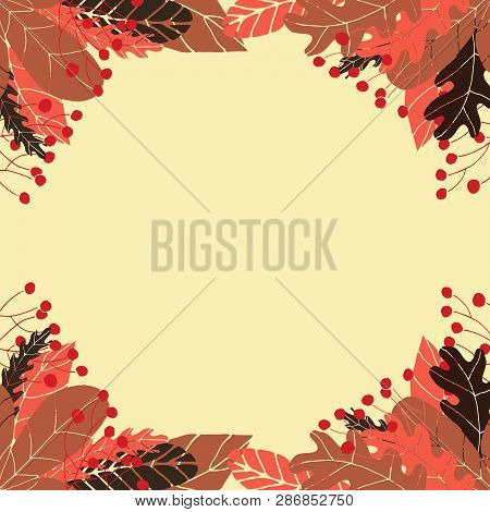 Cute Vector Colorful Frame In Hand Drawn Style. Floral And Leaves Frame For Design.