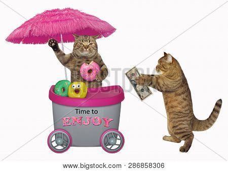 The Funny Cat Buys Donuts At The Mini Movable Pink Cart. Time To Enjoy. Isolated.