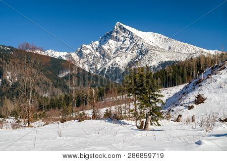 Peak Krivan In High Tatras Mountains, Slovakia. Snowy Landscape