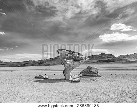 Arbol De Piedra (tree Of Rock), The Famous Stone Tree Rock Formation Created By Wind, In The Siloli 