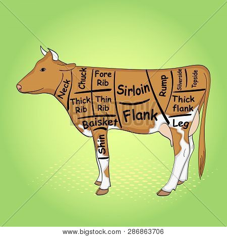Green Pop Art Background. The Cow For The Restaurant Is Divided Into Parts, Pieces Of Bull Beef Carc