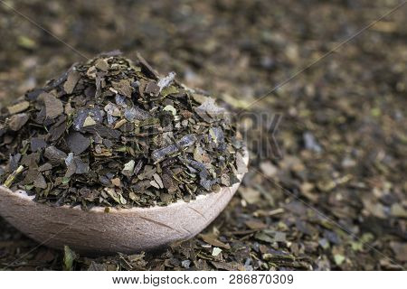 Ayahuasca Guayusa Dry Tea Leaves In Wooden Spoon. Macro Shot.