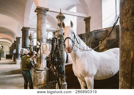 February 20, 2019.royal Stable In Denmark Copenhagen In Territory Christiansborg Slot. Man Young Wom