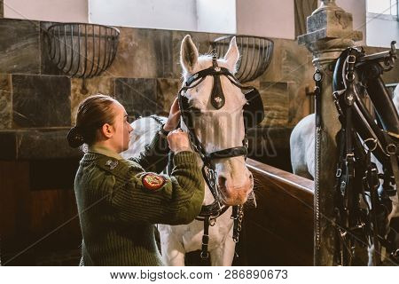 February 20, 2019.royal Stable In Denmark Copenhagen In Territory Christiansborg Slot. Man Young Wom