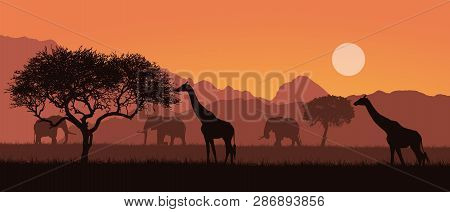 Realistic Illustration Of A Mountain Landscape On Safari In Kenya, Africa. Giraffes And Elephants Wi