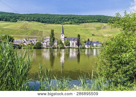 Piesport On The Moselle Rhineland-palatinate Germany Picture
