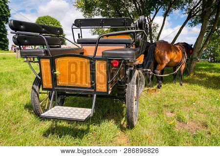 Beautiful Old Carriage On The Grass With Horses Eating Hay
