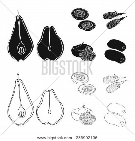 Vector Design Of Food  And Raw  Logo. Set Of Food  And Nature   Vector Icon For Stock.
