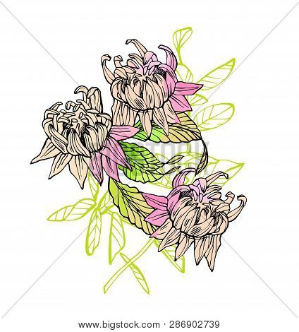 Floral Composition. Pink Flower Illustration. Fullsize Raster Artwork Of Flowers.