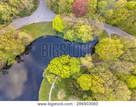 Top Down Detail View Of Park With Trees Pond And Tracks