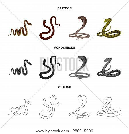 Vector Design Of Mammal And Danger Symbol. Set Of Mammal And Medicine Stock Symbol For Web.