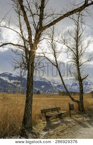 Winter Scene, A Single Wooden Bench Between To Bare Trees And A Sole Rubbish Bin, Behind A Brown Fie