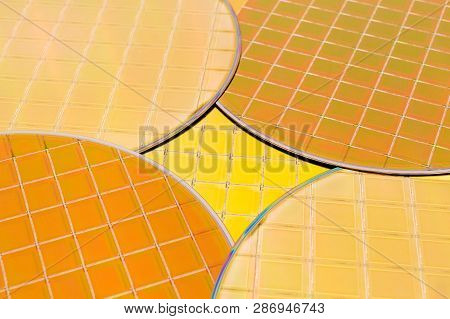 Many Silicon Wafers Three Types - Gold Color Wafes With Microchips