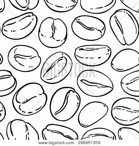 Coffee Seeds Vector Pattern On Whte Background