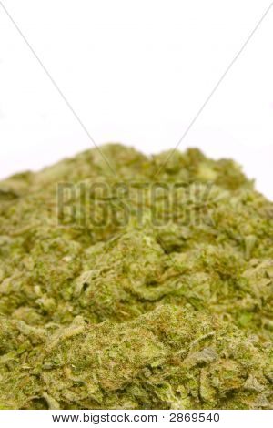 Bud