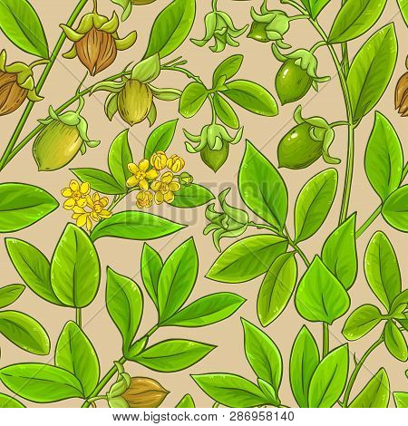 Jojoba Branches Vector Pattern On Color Background