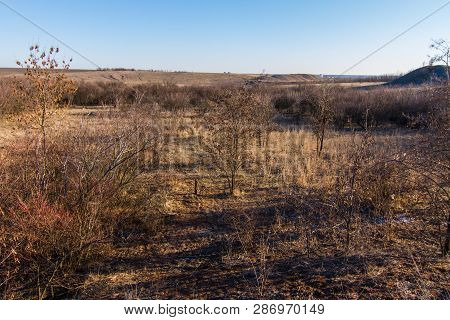 Morning Winter Snowless Landscape