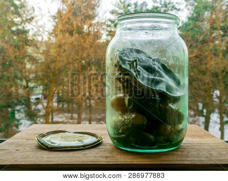 Can Of Pickled Cucumbers On Window On A Background Of Autumn Or Winter Forest.  Huge Texture Of Mold